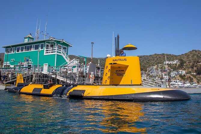 Yellow Semi-Submarine Tour of Catalina Island From Avalon - The Value Proposition