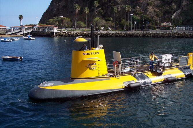 Yellow Semi-Submarine Tour of Catalina Island From Avalon - FAQs