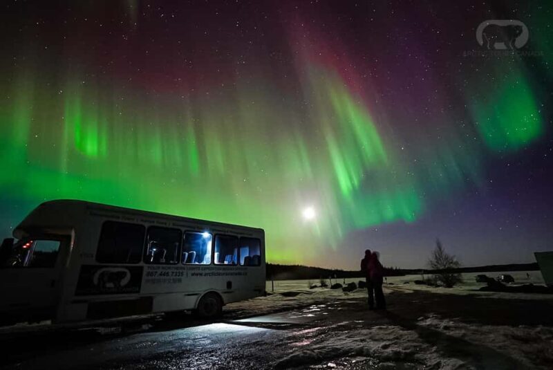 Yellowknife: 2 Nights Aurora Hunting and Viewing in Cabin - Who Will Love This Tour?