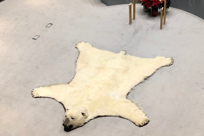 Yellowknife City Tour + Nature's North Wildlife Gallery - Final Thoughts