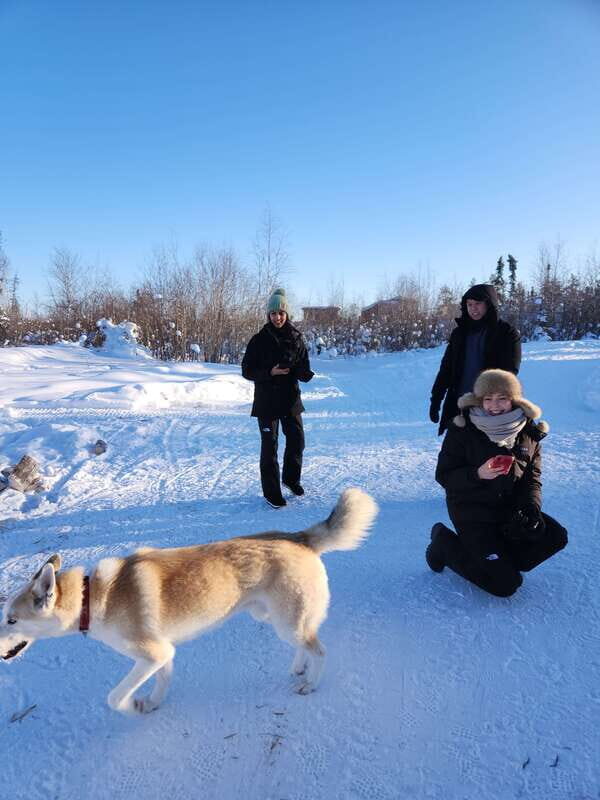 Yellowknife: Dog Sledding Tour - The Sum Up