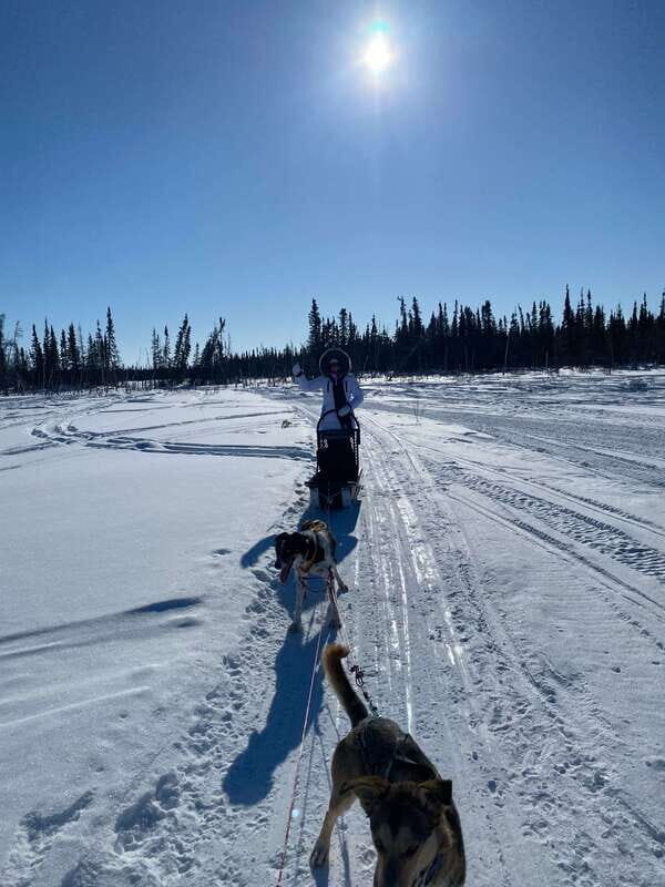 Yellowknife: Dog Sledding Tour - FAQ