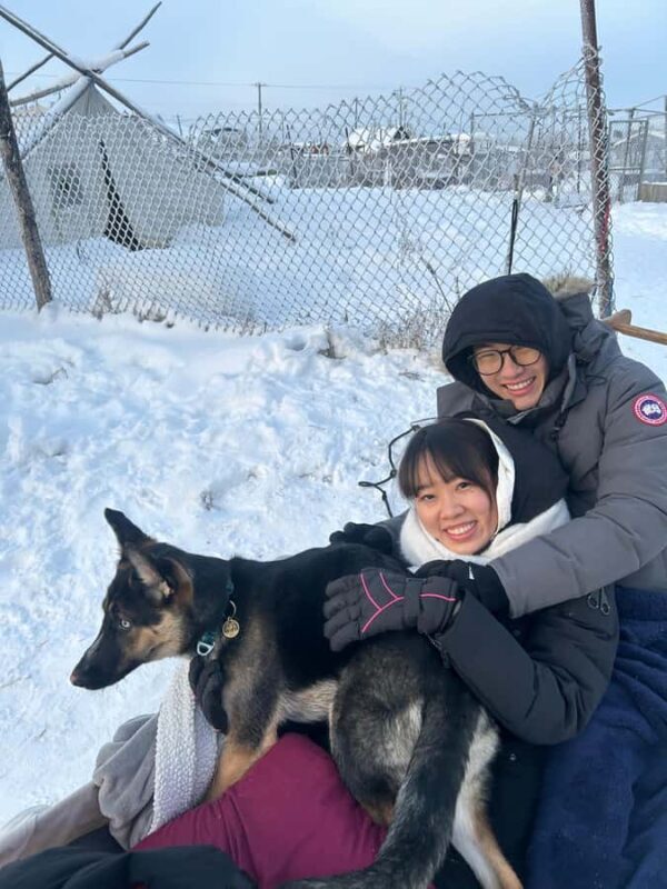 Yellowknife: Indigenous Dog Sledding Experience - An In-Depth Look at the Experience