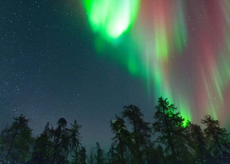Yellowknife: Small Group Aurora Photography and Viewing - The Itinerary: What to Expect