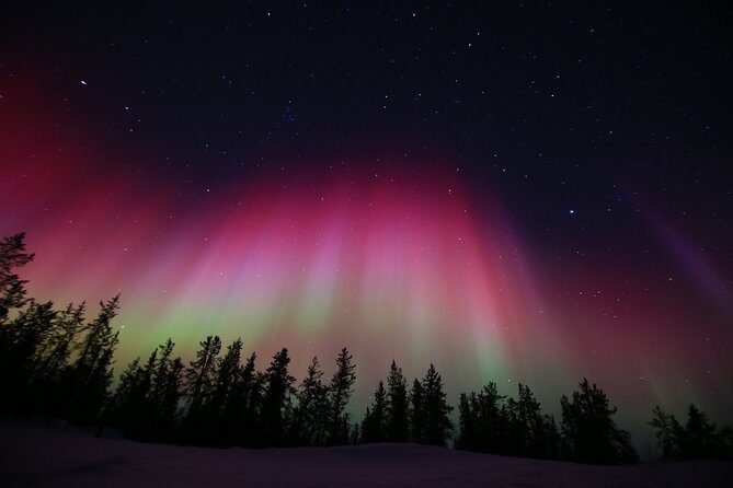 Yellowknife Tours - Aurora by bus - Who Will Love This Tour?