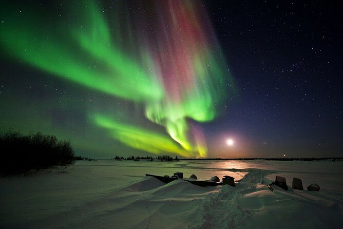 Yellowknife Tours - Aurora by bus - The Sum Up: Is This Tour Worth It?