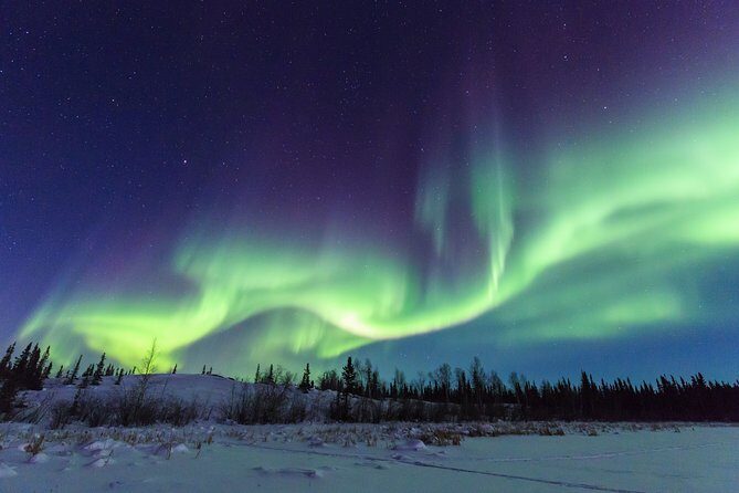 Yellowknife Tours - Aurora by bus - FAQs