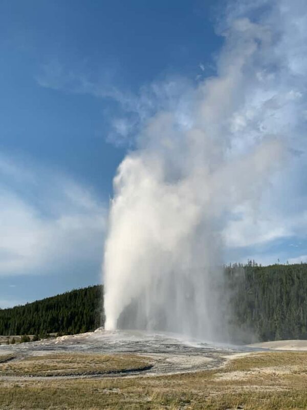 Yellowstone: Full-Day Private Guided Tour with Picnic Lunch - An In-Depth Look at the Yellowstone Private Tour