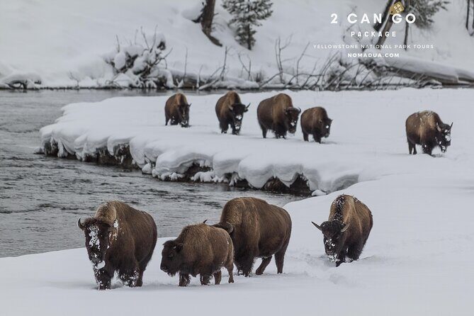 Yellowstone, Grand Teton,& Grand Circle Adventure: 7 Parks 9 Days - Who Is This Tour Best For?