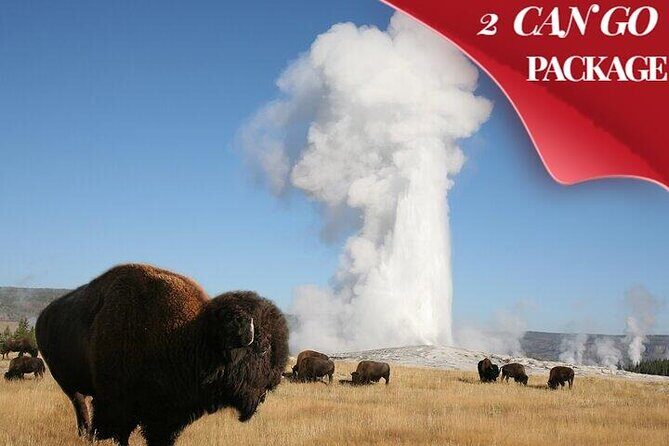 Yellowstone & Grand Teton National Parks: Small Group 4-Day Tour - An In-Depth Look at the Tour Experience