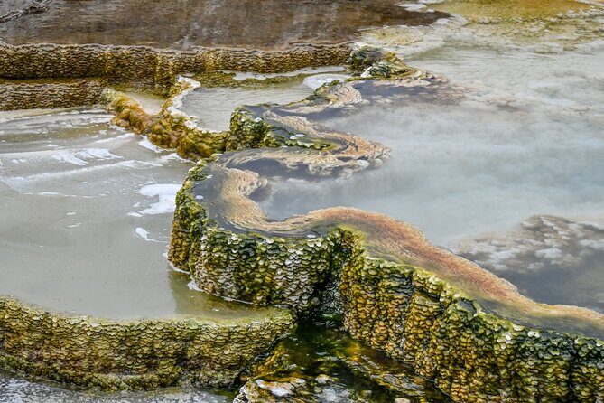 Yellowstone & Grand Teton National Parks: Small Group 4-Day Tour - Final Thoughts