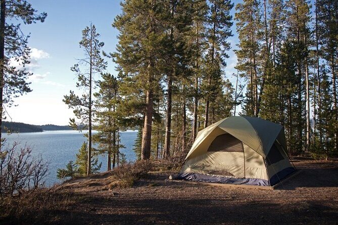 Yellowstone & Grand Teton National Parks: Small Group 6-Day Tour - Practical details: transportation, group size, and value
