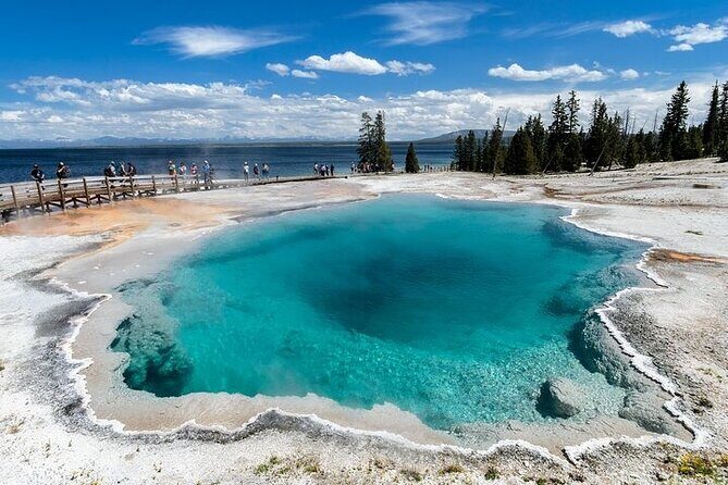 Yellowstone & Grand Teton National Parks: Small Group 6-Day Tour - Authentic insights from past travelers