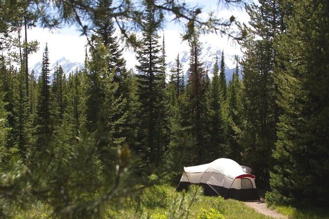 Yellowstone & Grand Teton National Parks: Small Group 6-Day Tour - Final thoughts