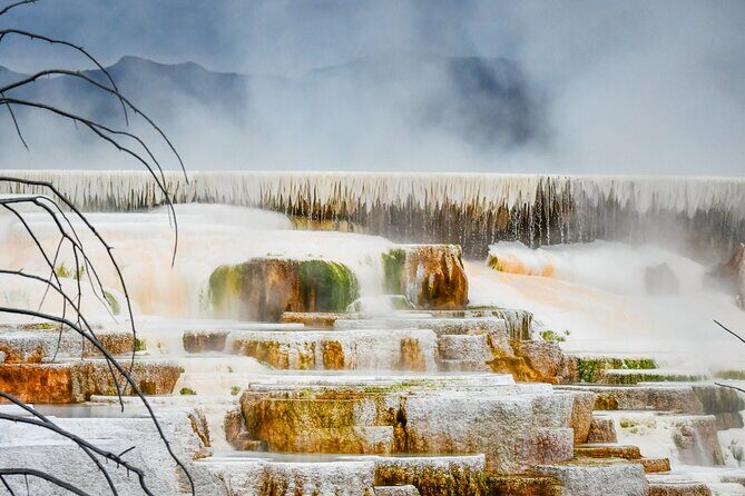 Yellowstone & Grand Teton National Parks Winter Tour 5-Day - The Itinerary in Detail: What Makes Each Stop Special