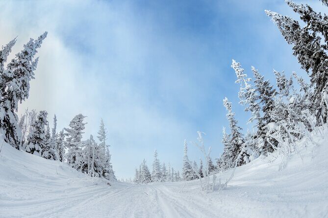 Yellowstone & Grand Teton National Parks Winter Tour: Small Group 4-Day Tour - The Sum Up
