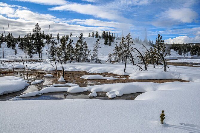 Yellowstone, Grand Teton & Utah Mighty 5 Winter Tour: Small Group 9-Day Tour - FAQs