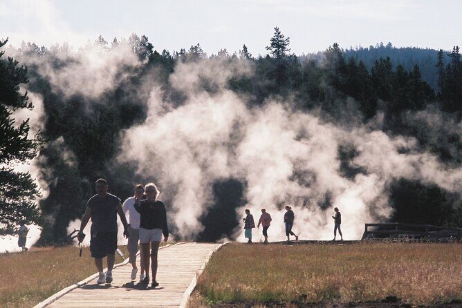 Yellowstone Grand Tour: See All Yellowstone In One Day - Who Should Consider This Tour?