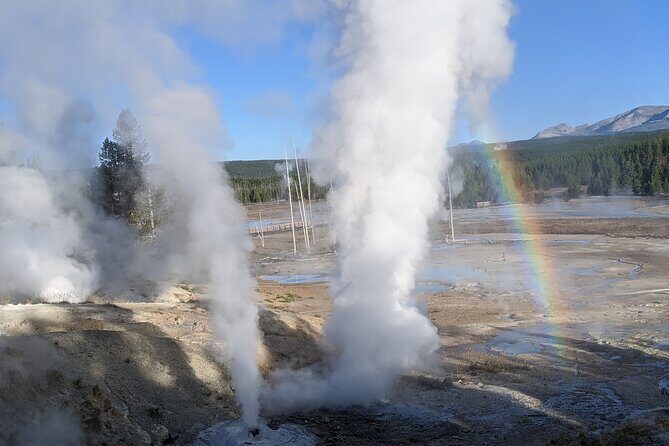Yellowstone Grand Tour: See All Yellowstone In One Day - Final Thoughts