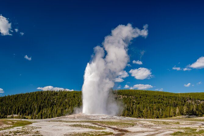 Yellowstone in a Day - Grand Loop Yellowstone Tour - The Experience: What Sets It Apart