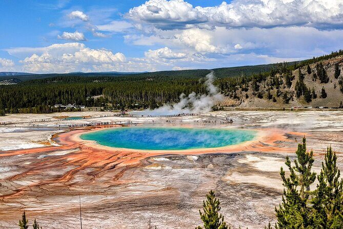 Yellowstone in a Day Private Guided Tour - A Closer Look at the Yellowstone in a Day Tour