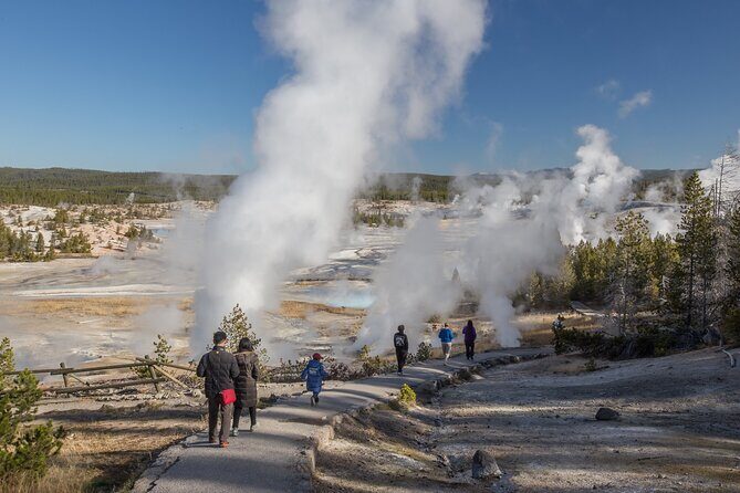 Yellowstone in a Day - Wildlife, Canyons, & Hot Springs - An In-Depth Look at the Itinerary