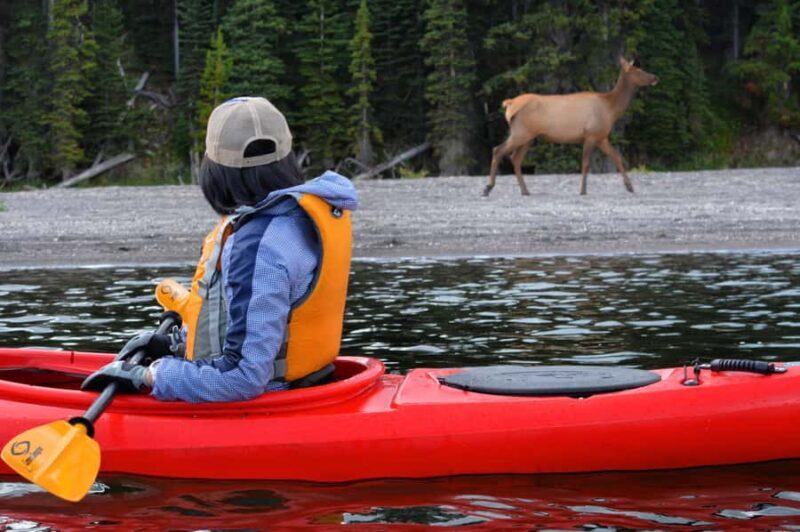 Yellowstone Lake Kayaking Adventure Among Thermal Features - Key Points