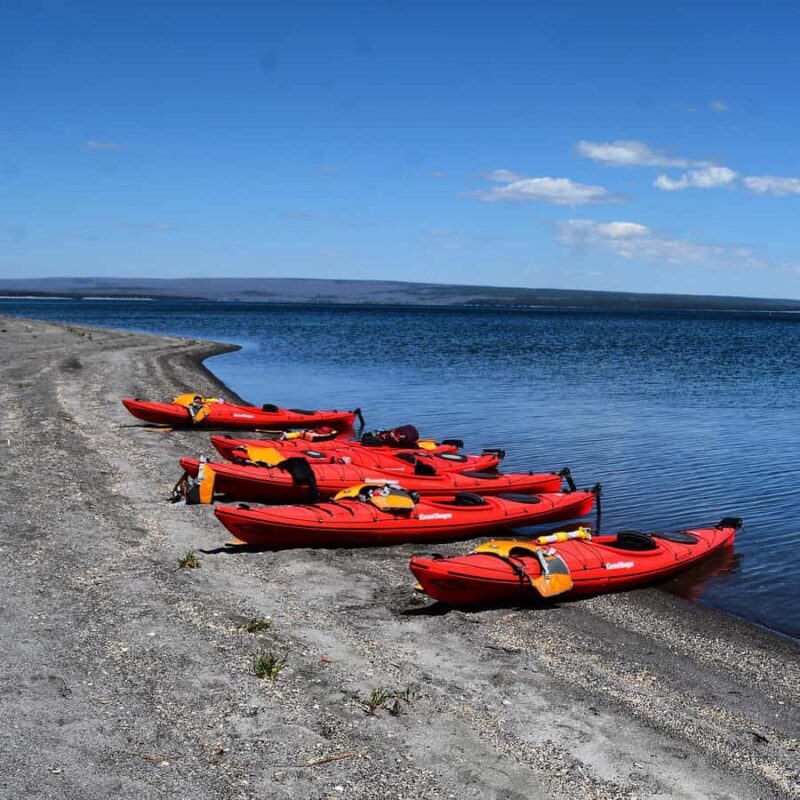 Yellowstone Lake Kayaking Adventure Among Thermal Features - An Introduction to the Experience