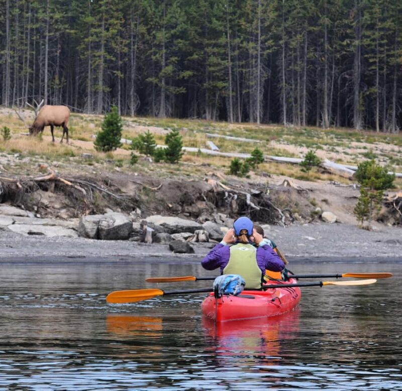 Yellowstone Lake Kayaking Adventure Among Thermal Features - The Value of the Tour