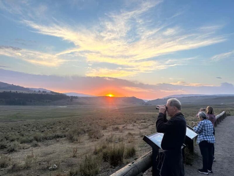 Yellowstone Lamar Valley & Picnic Lunch With Wildlife Guide - Exploring Yellowstone’s Lamar Valley: A Natural Jewel