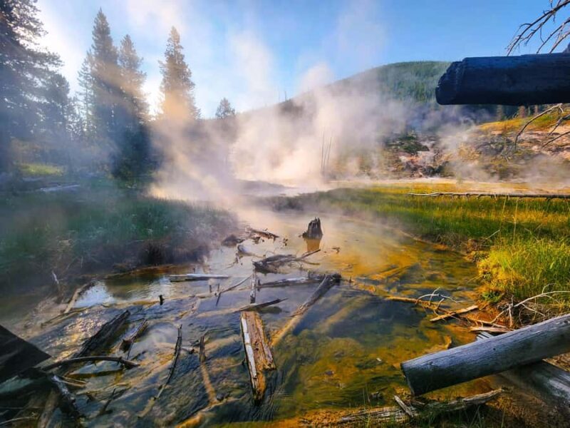 Yellowstone Lower Loop - Private Full Day Tour - Key Points