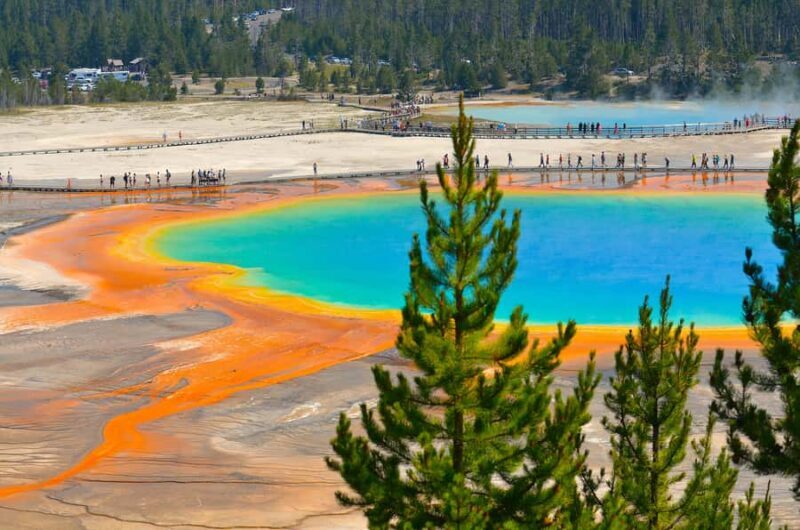 Yellowstone Lower Loop - Private Full Day Tour - FAQ