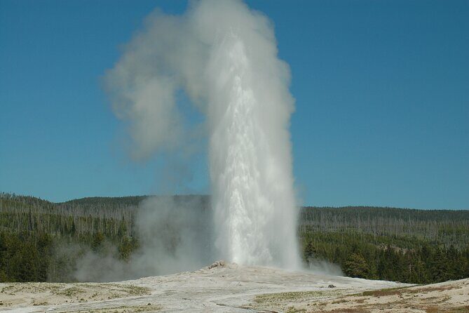 Yellowstone Lower (Southern) Loop Tour - The Sum Up