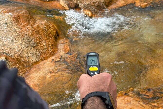 Yellowstone National Park Private Full Day Guided Hike - An In-Depth Look at the Yellowstone Private Guided Hike
