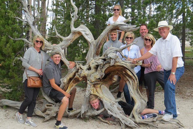 Yellowstone National Park - PRIVATE Full-Day Lower Loop Tour from W. Yellowstone - Inside the Experience: What You Can Expect