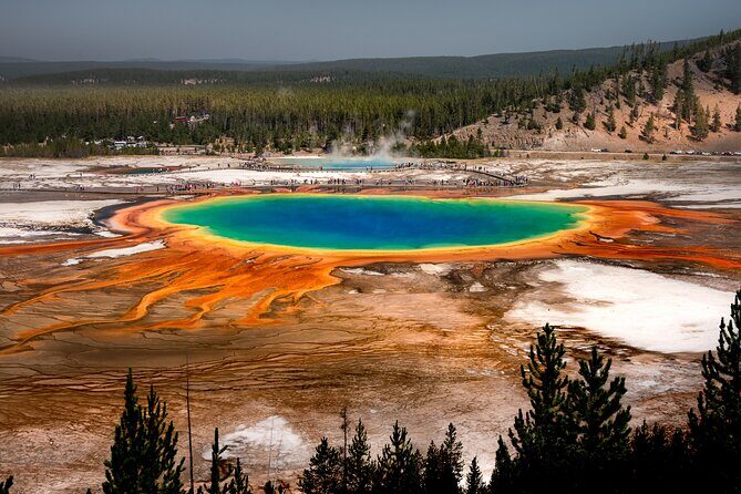 Yellowstone National Park Private Guided Tour - Full Day - Key Points
