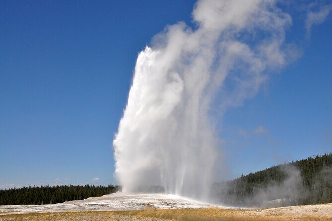 Yellowstone National Park Private Guided Tour - Full Day - Analyzing the Experience