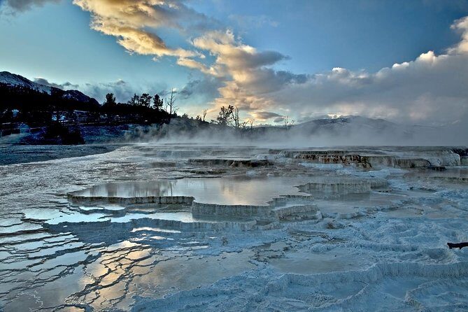 Yellowstone National Park Private Tour - The Experience: What Travelers Love
