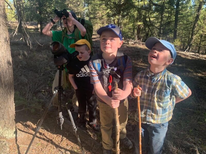 Yellowstone Old Faithful and Waterfall Tour - Exploring the Yellowstone Old Faithful and Waterfall Tour