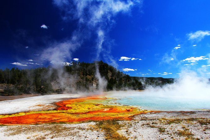 Yellowstone Private Lower Loop Adventure with Lunch - The Value of a Private Guided Tour