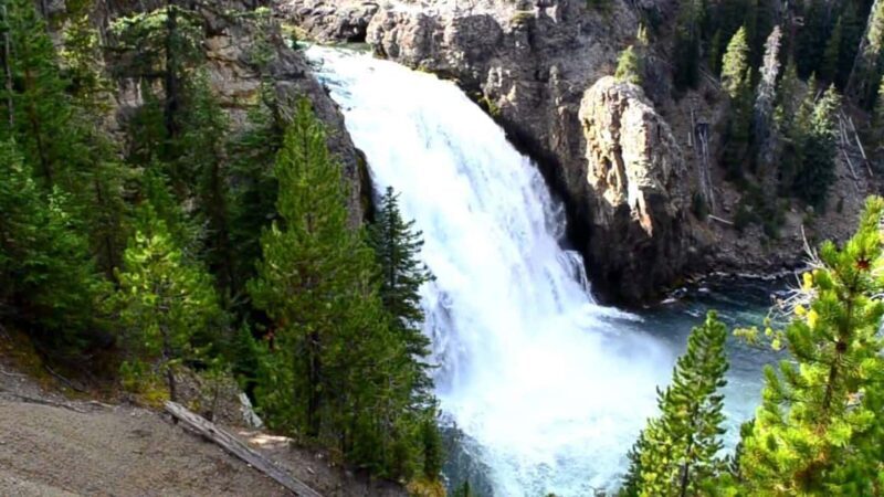 Yellowstone Private Tour Up To 14 Surprise Activity Included - The Value and Who It’s For
