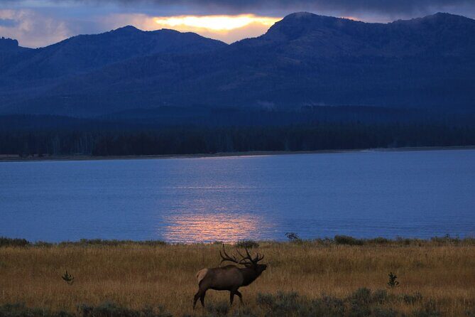 Yellowstone Privately Guided Safari at Sunset - Key Points