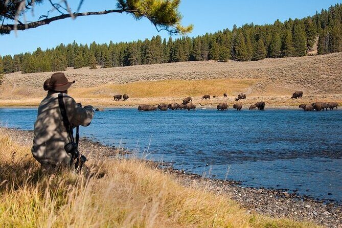 Yellowstone Through the Lens Photography Adventure - Yellowstone Through the Lens Photography Adventure: A Detailed Look