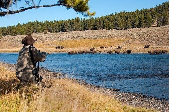 Yellowstone Through the Lens Photography Adventure - The Sum Up