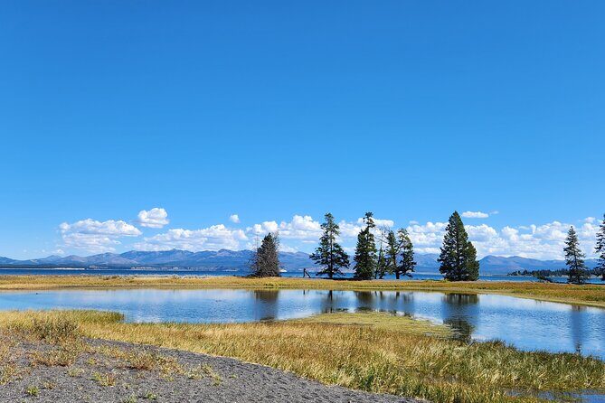 Yellowstone Wildlife Tour - Yellowstone Wildlife Tour: An Authentic Wilderness Experience