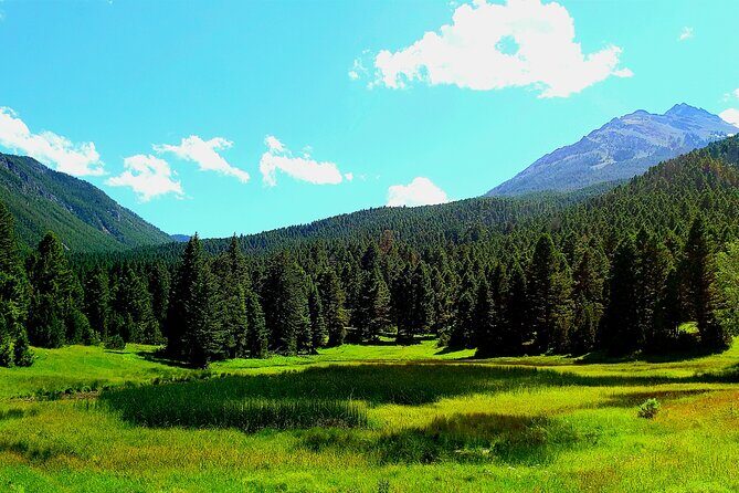 Yellowstone Wildlife Tour - Who Is This Tour Best For?