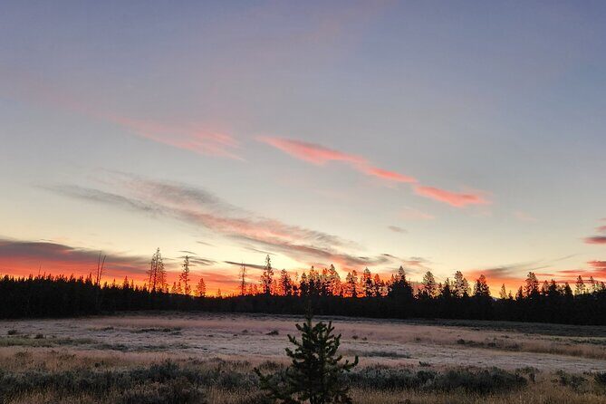 Yellowstone Wildlife Tour - The Sum Up