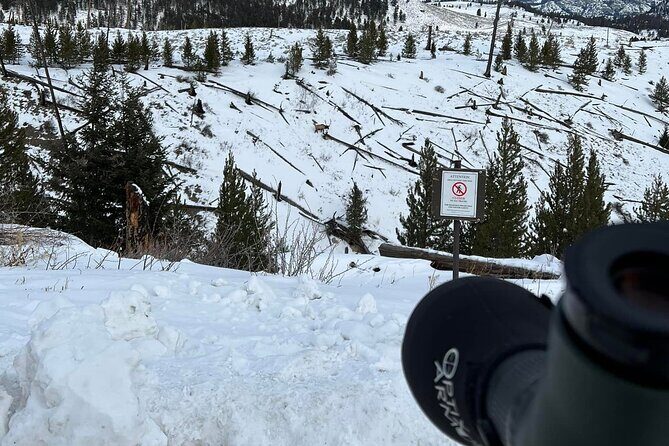 Yellowstone Winter Wildlife with Snowshoeing VIP Experience - Who Will Enjoy This Tour?