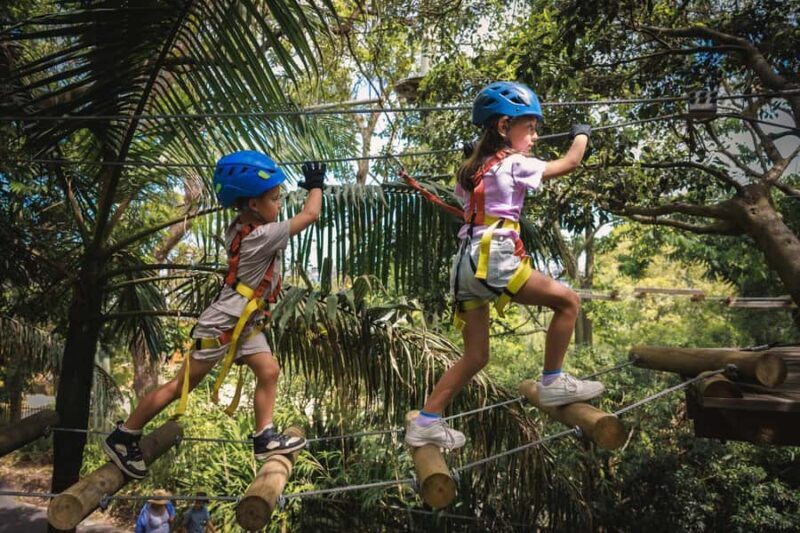 Yeodene: Junior Tree Ropes Course - Key Points