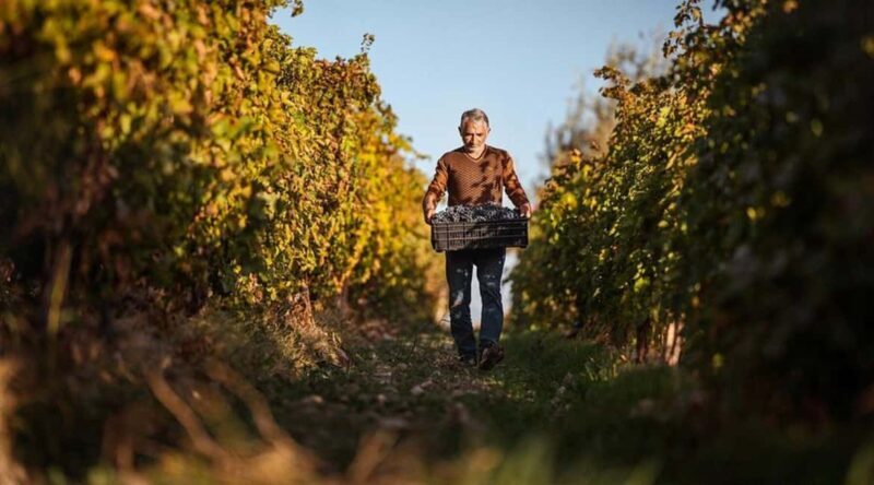 Yerevan: Gevorkian Winery Tour and Tasting Experience - Key Points